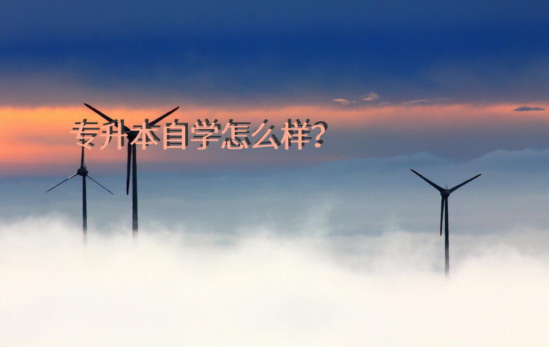 专升本自学怎么样？