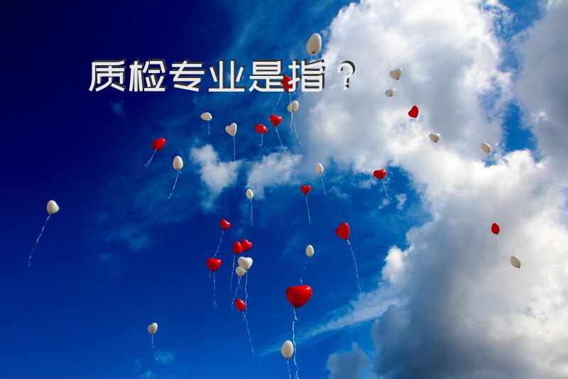 质检专业是指？