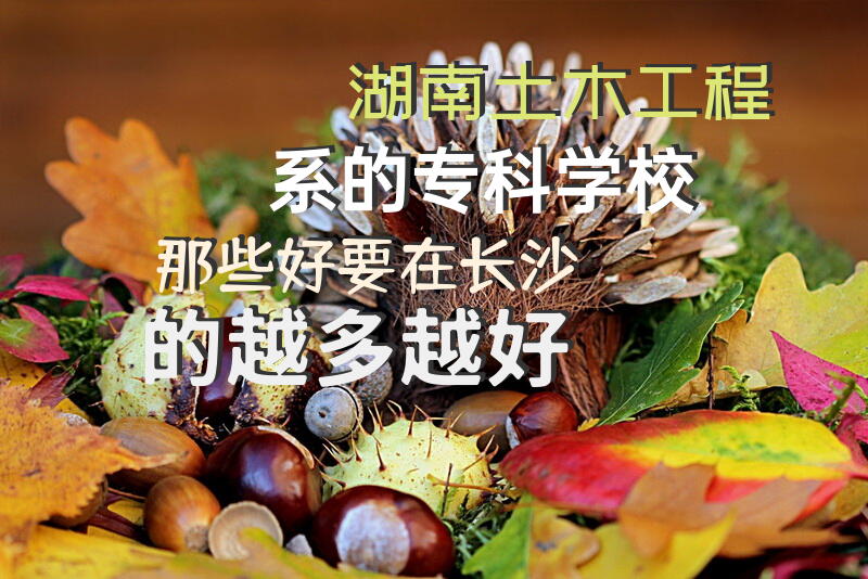 湖南土木工程系的专科学校那些好要在长沙的，越多越好。