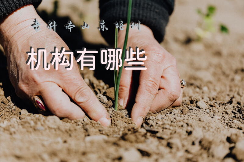 专升本山东培训机构有哪些