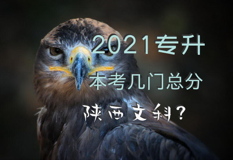 2021专升本考几门总分陕西文科？