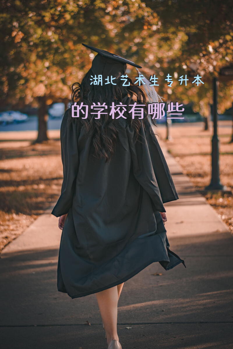湖北艺术生专升本的学校有哪些