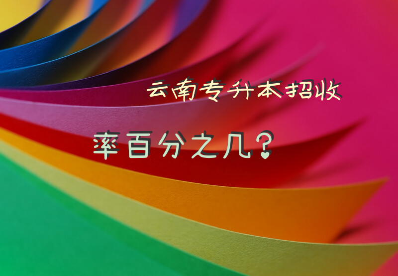 云南专升本招收率百分之几？