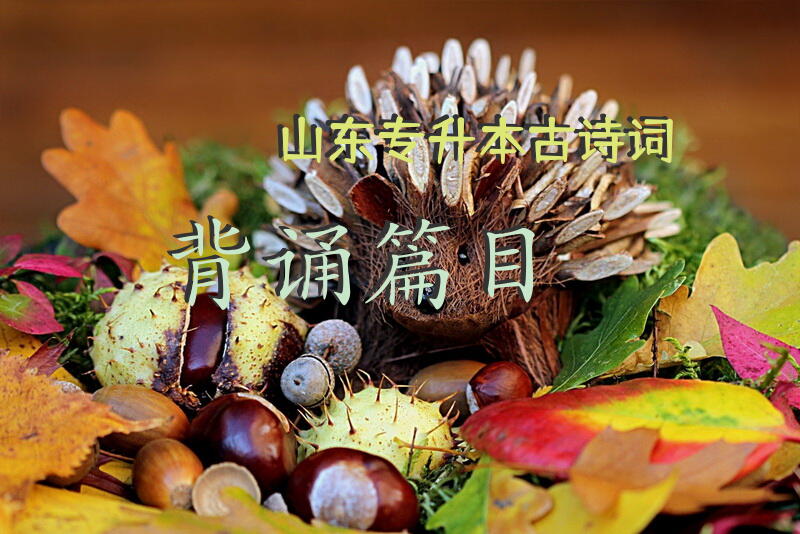 山东专升本古诗词背诵篇目