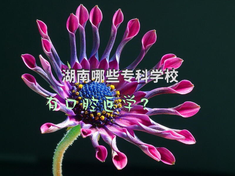 湖南哪些专科学校有口腔医学？