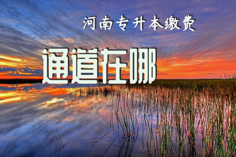 河南专升本缴费通道在哪