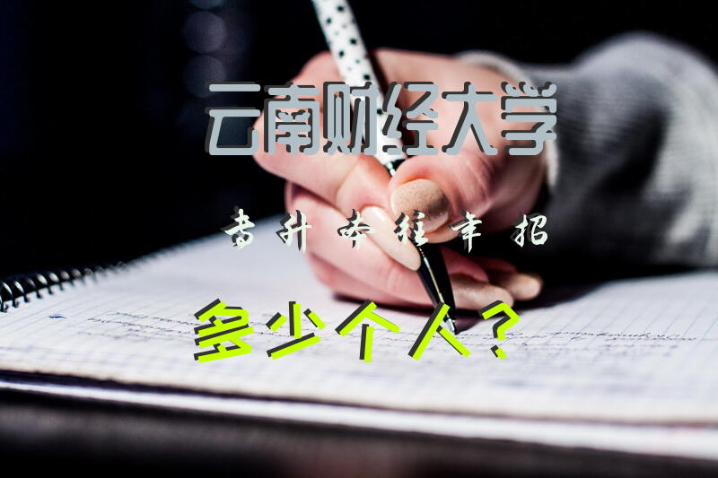 云南财经大学专升本往年招多少个人？