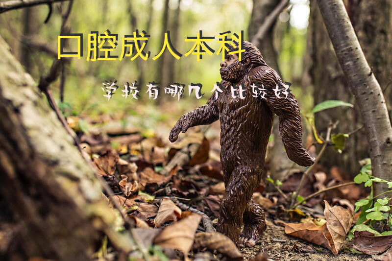 口腔本科学校有哪几个比较好