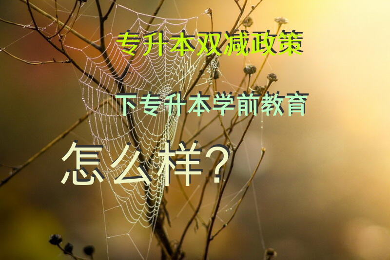 专升本-双减政策下专升本学前教育怎么样？