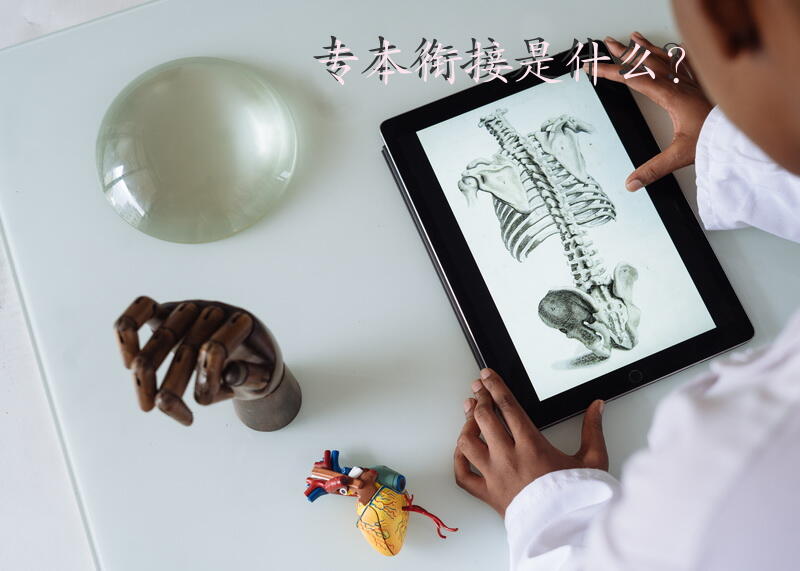 专本衔接是什么？