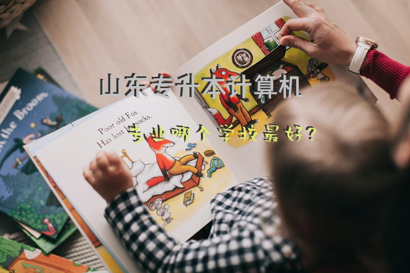 山东专升本计算机专业哪个学校最好？