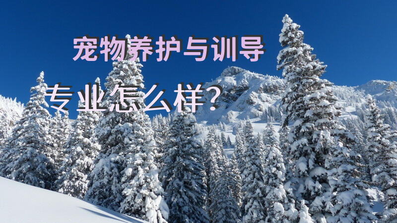 宠物养护与训导专业怎么样？