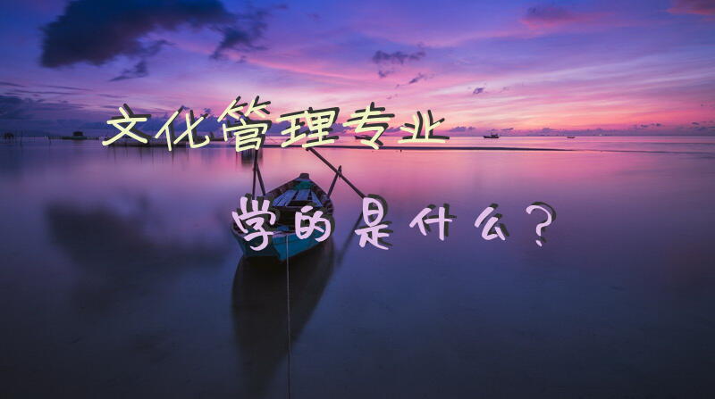 文化管理专业学的是什么？