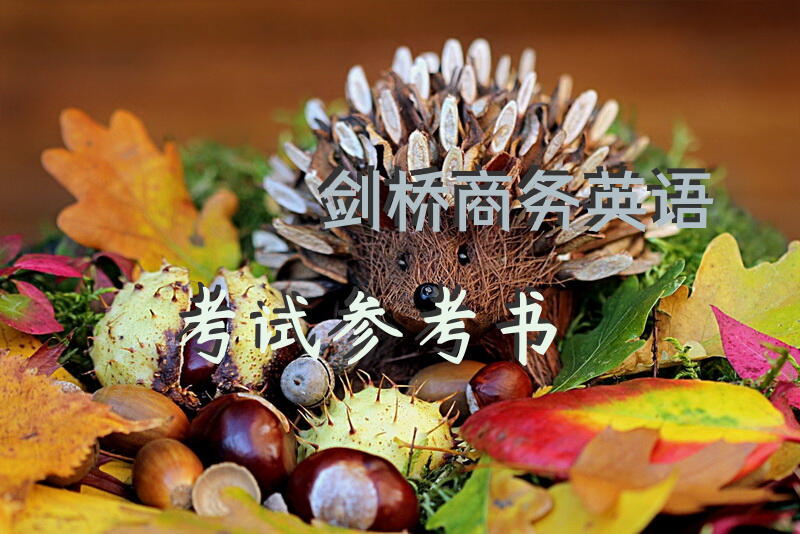 剑桥商务英语考试参考书