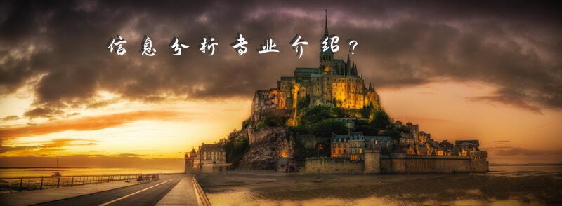 信息分析专业介绍？
