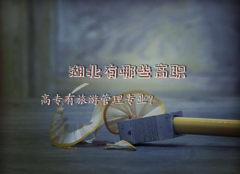 湖北有哪些高职高专有旅游管理专业？
