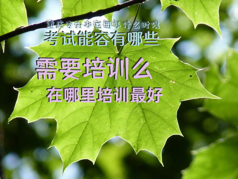 重庆专升本在每年什么时候？考试能容有哪些？需要培训么？在哪里培训最好？