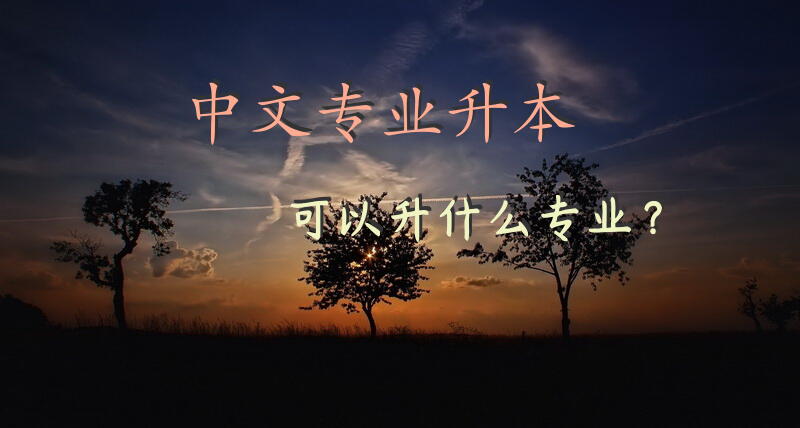 中文专业升本可以升什么专业？