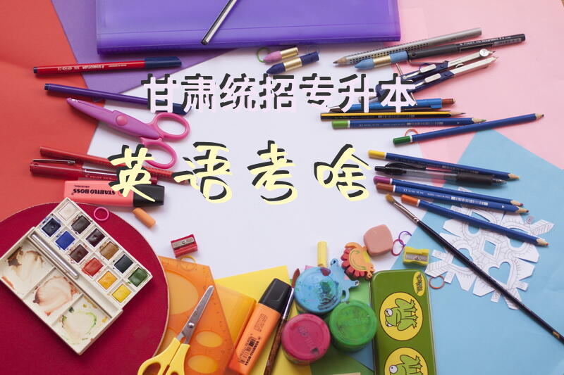 甘肃统招专升本英语考啥