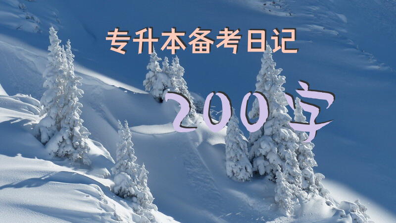 专升本备考日记200字