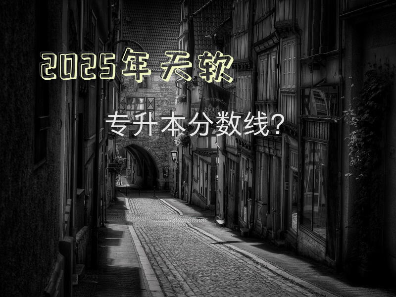 2025年天软专升本分数线？
