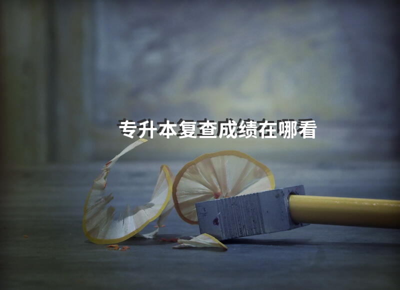 专升本复查成绩在哪看