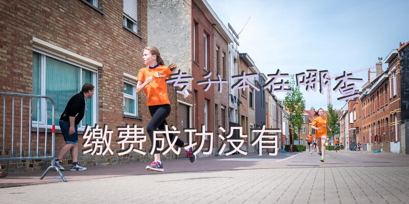 专升本在哪查缴费成功没有