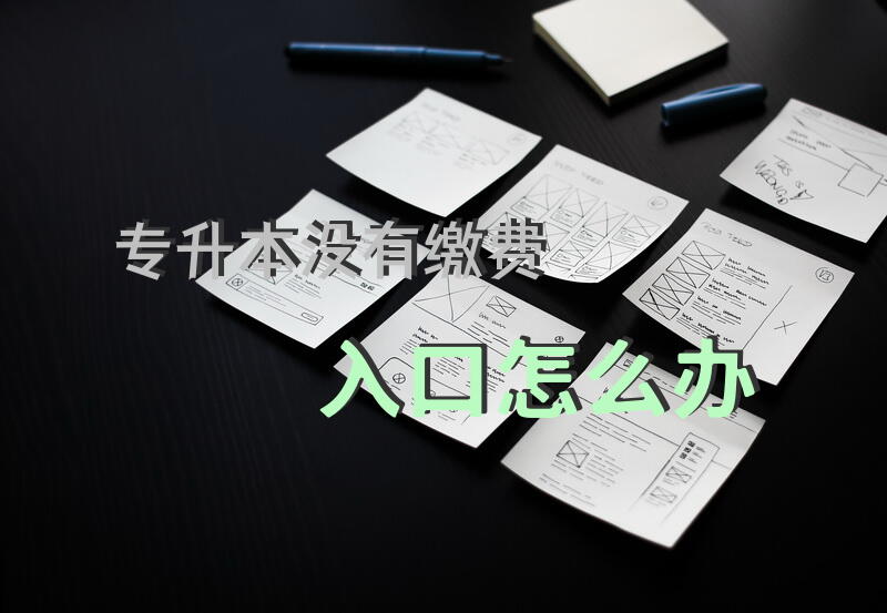 专升本没有缴费入口怎么办