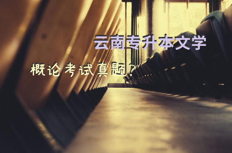 云南专升本文学概论考试真题？