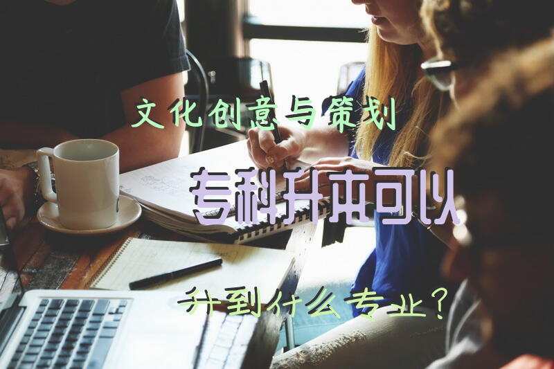 文化创意与策划专科升本可以升到什么专业？
