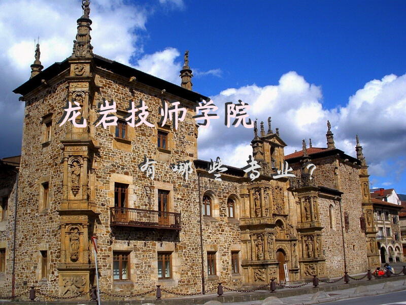 龙岩技师学院有哪些专业？