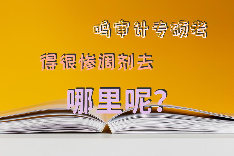 呜~审计专硕考得很惨，调剂去哪里呢？
