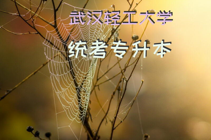 武汉轻工大学统考专升本