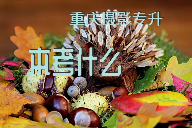 重庆摄影专升本考什么