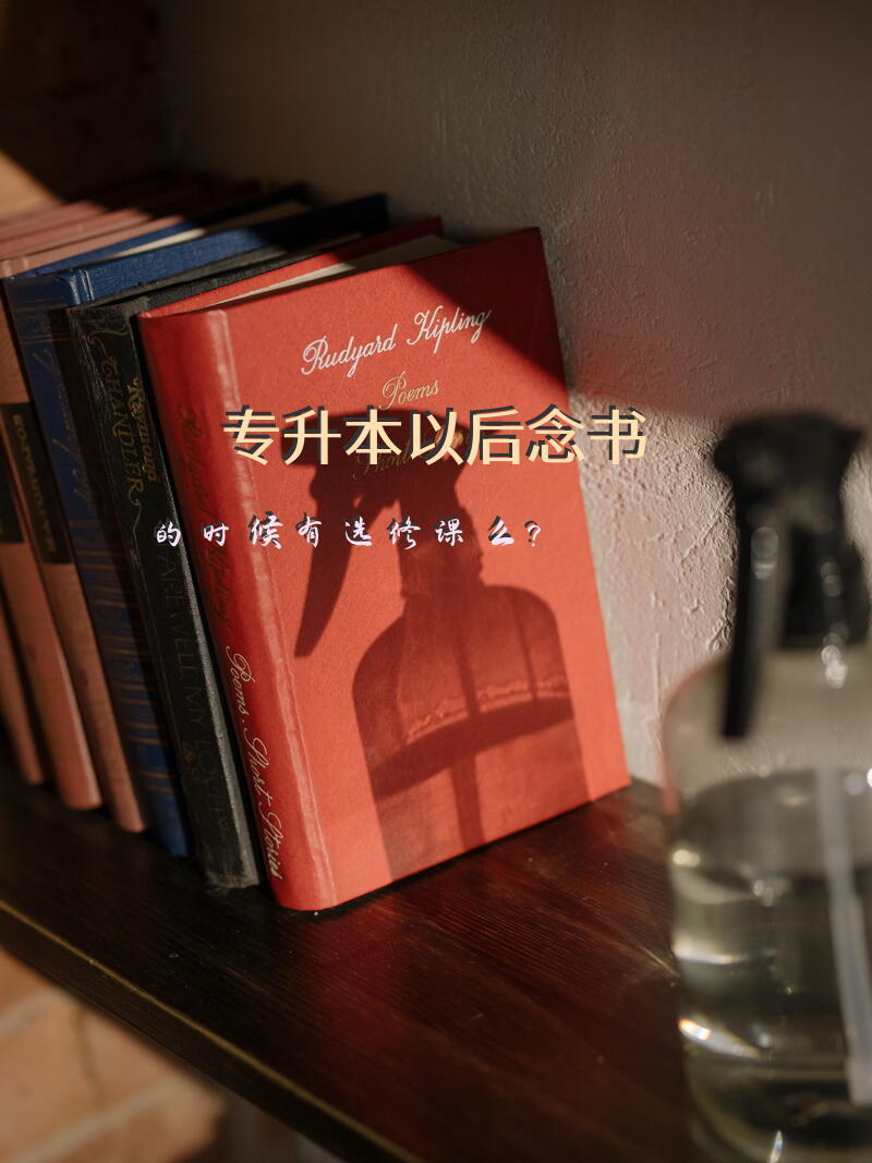专升本以后，念书的时候，有选修课么？