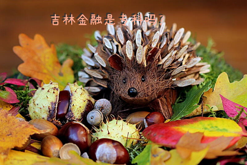 吉林金融是专科吗？