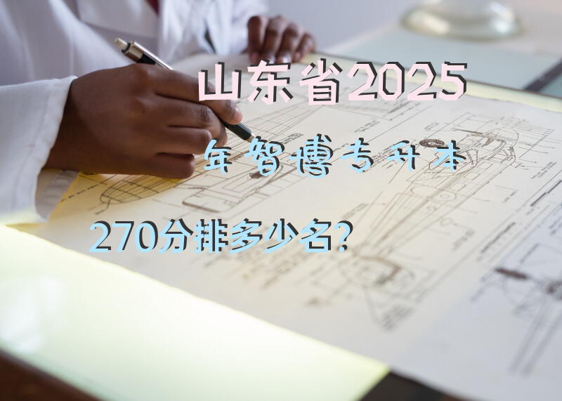 山东省2025年智博专升本270分排多少名？