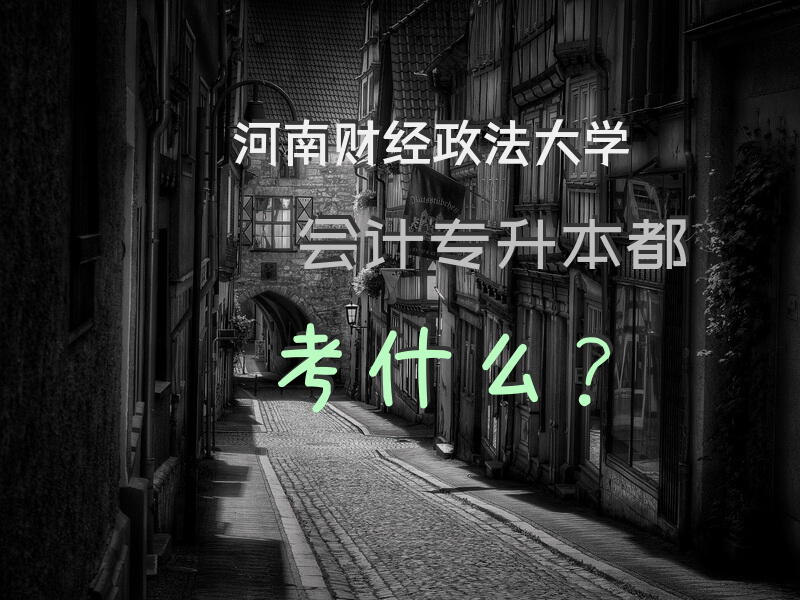河南财经政法大学会计专升本都考什么？