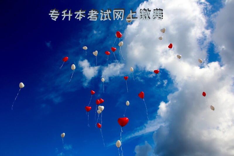 专升本考试网上缴费