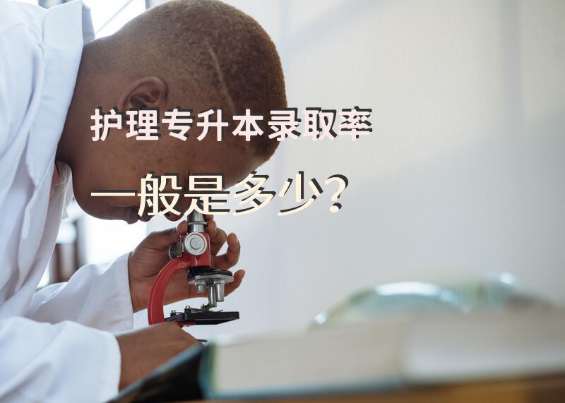 护理专升本录取率一般是多少？