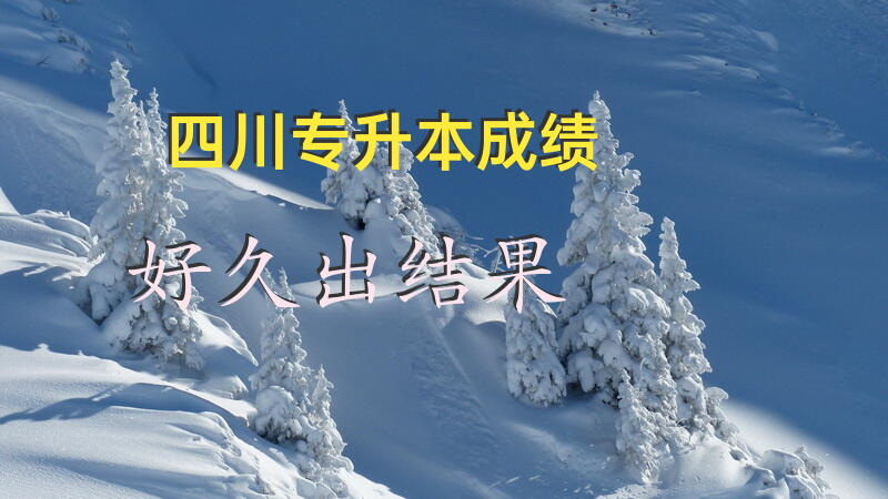四川专升本成绩好久出结果