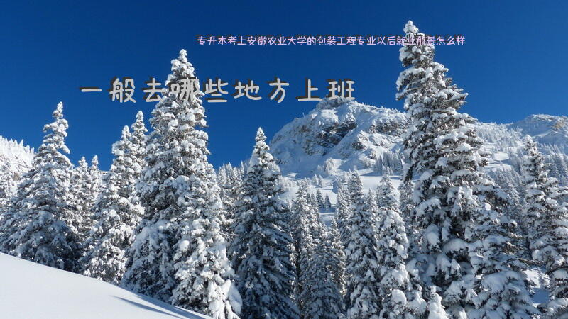 专升本考上安徽农业大学的包装工程专业，以后就业前景怎么样？一般去哪些地方上班？