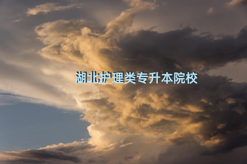 湖北护理类专升本院校