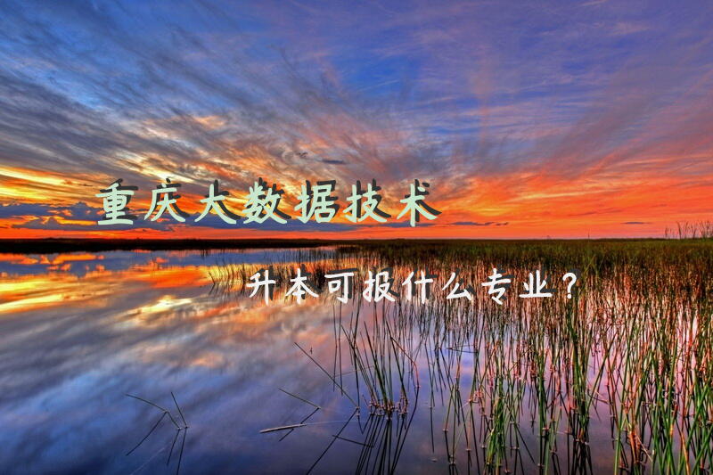 重庆大数据技术升本可报什么专业？