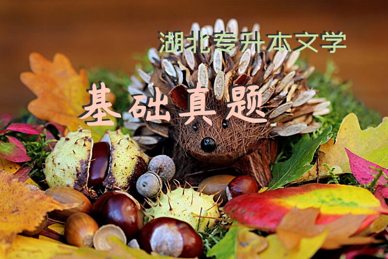 湖北专升本文学基础真题