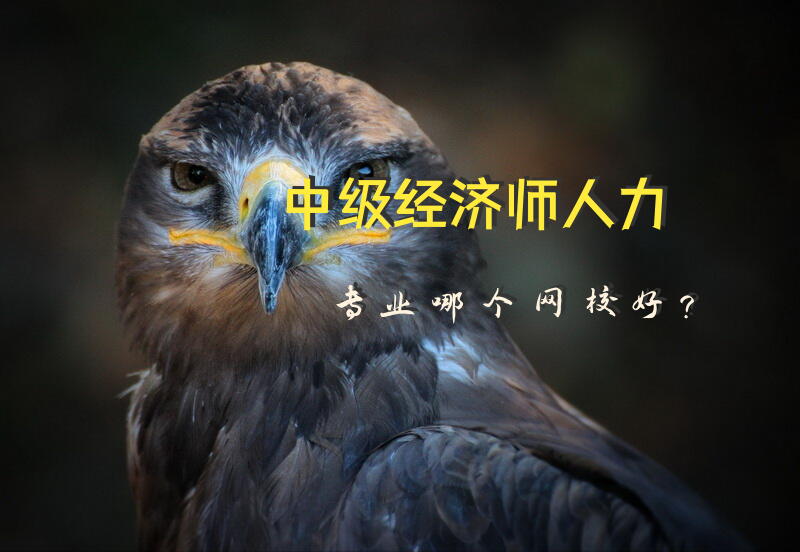 中级经济师人力专业哪个网校好？