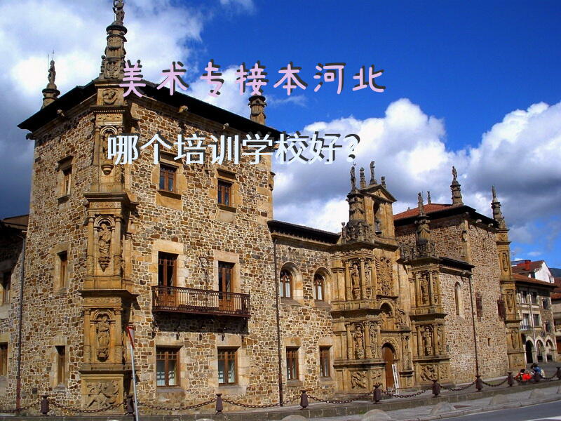 美术专接本河北哪个培训学校好？