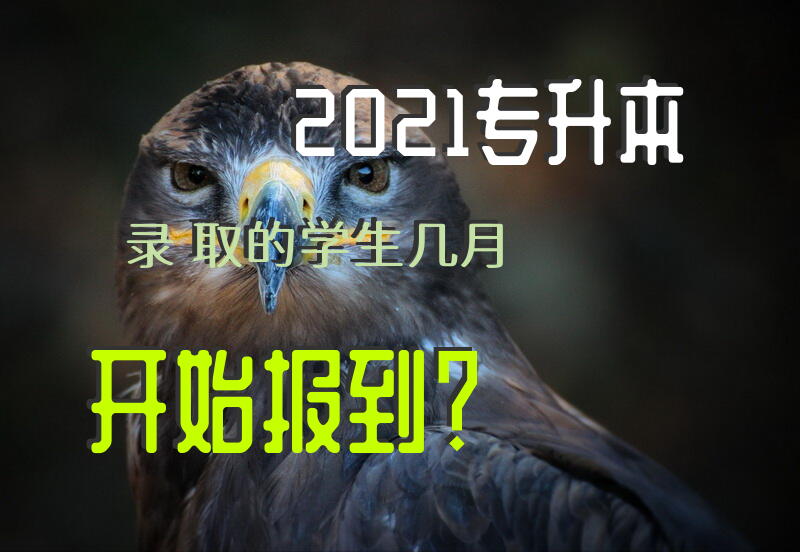 2021专升本录取的学生几月开始报到？