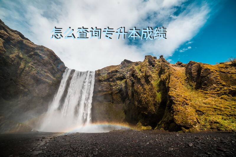 怎么查询专升本成绩