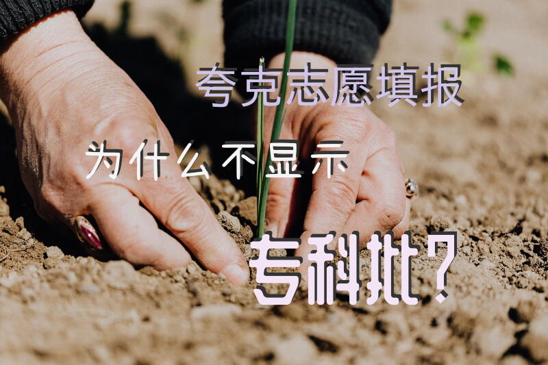 夸克志愿填报为什么不显示专科批？